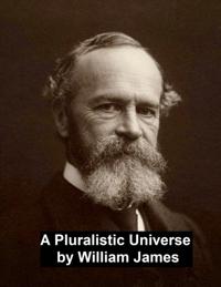 Pluralistic Universe