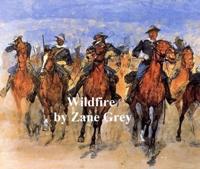 Wildfire