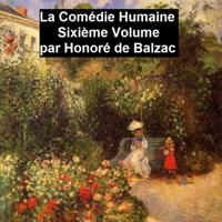 La Comedie Humaine volume 6 - Scene de la vie de province tome II