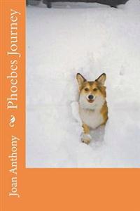 Phoebes Journey