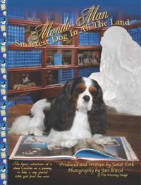 Mondo Man Smartest Dog In All The Land