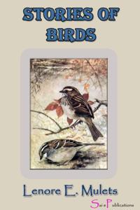 StoriesA ofA Birds