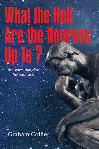 What the Hell are the Neurons Up To?