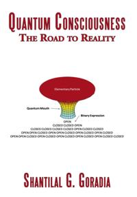 Quantum Consciousness