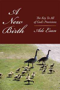 Bokomslag for "A New Birth"