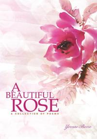 Beautiful Rose