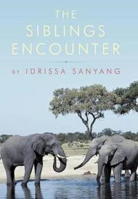 THE Siblings Encounter
