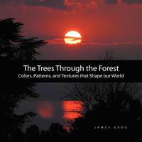 The Trees Through the Forest