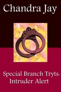 Special Branch Trysts: Intruder Alert