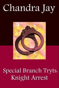 Special Branch Trysts: Knight Arrest