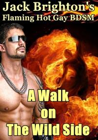 Walk on The Wild Side