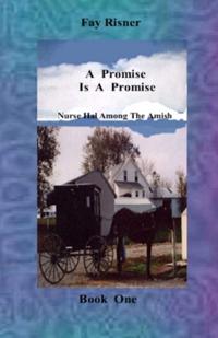 Promise Is A Promise-book 1-Nurse Hal Among The Amish