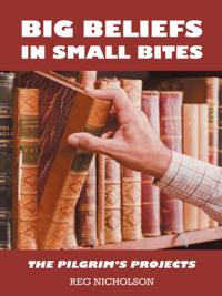 Big Beliefs in Small Bites
