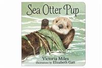 Sea Otter Pup