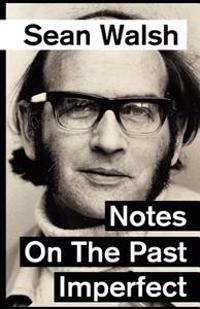 Notes on the Past Imperfect