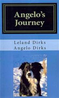 Angelo's Journey: A Border Collie's Quest for Home