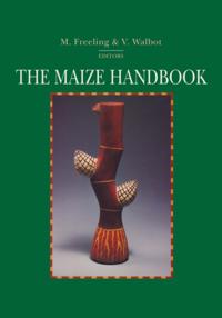 Springer Lab Manuals