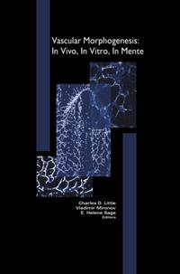 Cardiovascular Molecular Morphogenesis