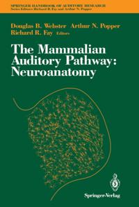 Springer Handbook of Auditory Research