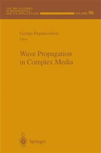 Wave Propagation in Complex Media
