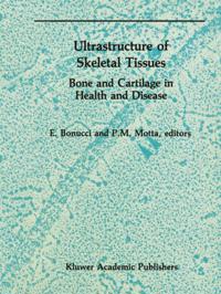 Electron Microscopy in Biology and Medicine
