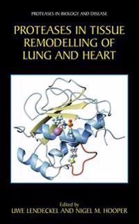 Proteases in Tissue Remodelling of Lung and Heart