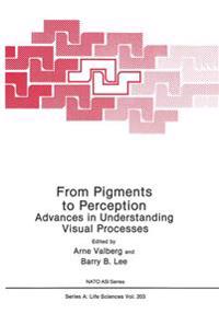 From Pigments to Perception
