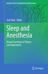 Springer Series in Computational Neuroscience