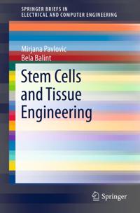 SpringerBriefs in Electrical and Computer Engineering