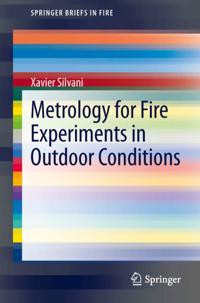 SpringerBriefs in Fire
