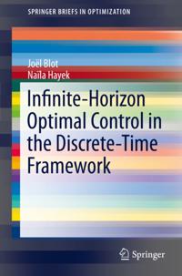 SpringerBriefs in Optimization