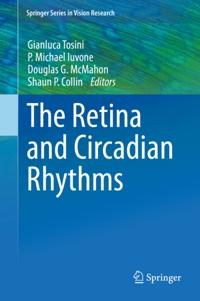 Springer Series in Vision Research
