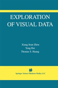 The International Series in Video Computing