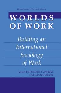 Springer Studies in Work and Industry