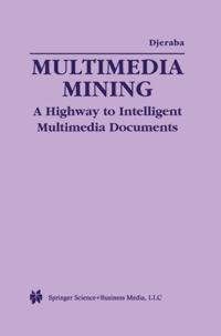 Multimedia Mining