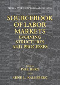 Springer Studies in Work and Industry