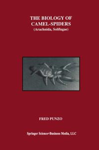 Biology of Camel-Spiders