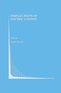 Topics in Regulatory Economics and Policy