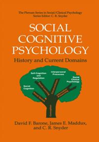The Springer Series in Social Clinical Psychology