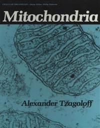 Mitochondria