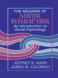 Meaning of Social Interaction
