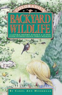 Colorado's Backyard Wildlife