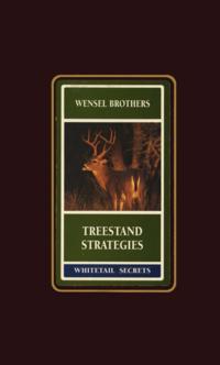 Treestand Strategies