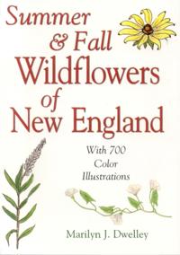 Summer & Fall Wildflowers of New England