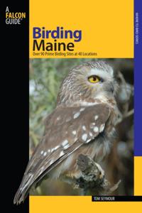 Birding Series