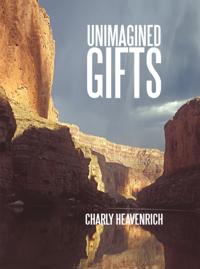 Unimagined Gifts