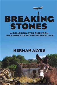 Bokomslag för "Breaking Stones"
