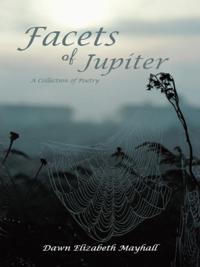 Facets of Jupiter
