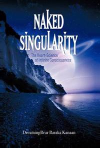 Bokomslag för "Naked Singularity"