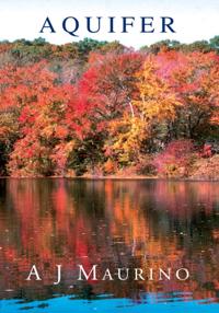 Aquifer